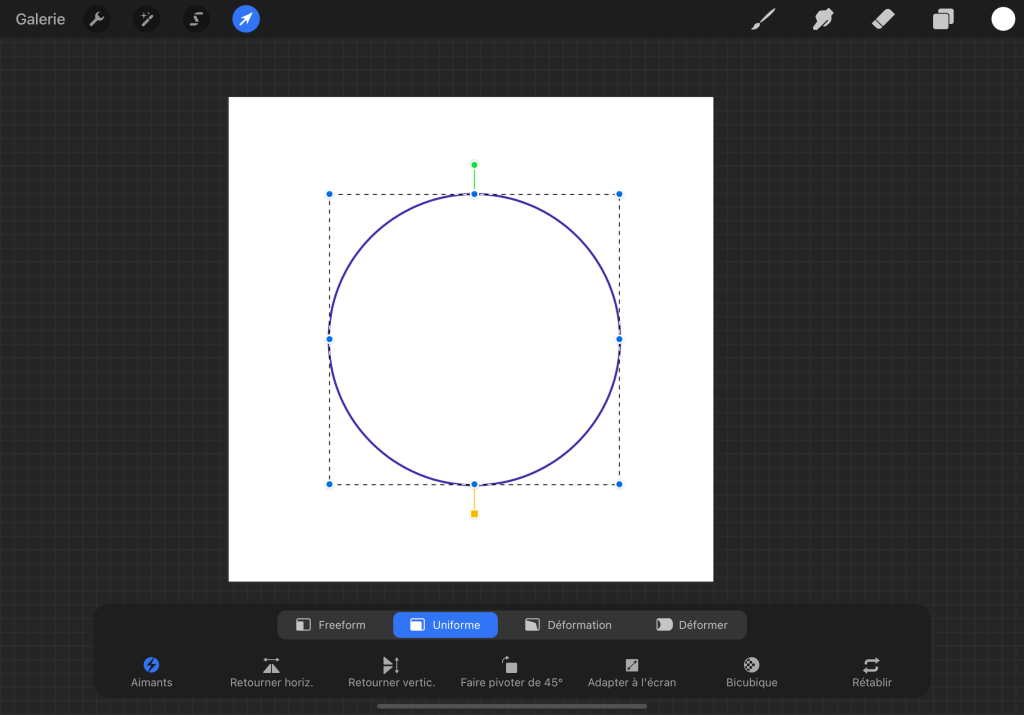 how-to-make-a-circle-in-procreate